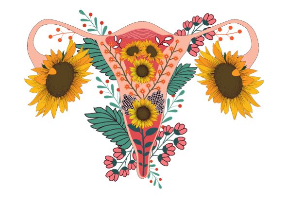 Kostenloser Workshop für Geflüchtete Frauen zu Vaginalgesundheit